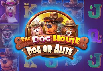 Microgaming - игровой автомат онлайн от Various с RTP 95.94%